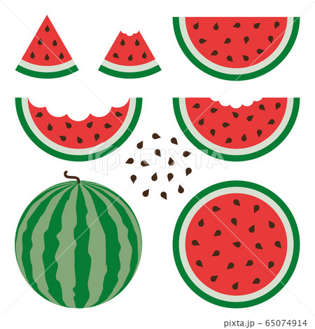 Watermelon signs vector set on white background. 65074914