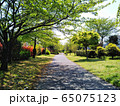 白はけ緑地 65075123