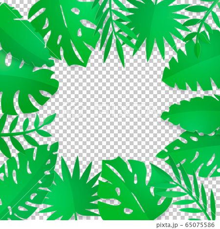 Tropical-plant-leaves-leaf-frame 65075586