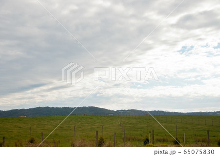 Green meadow countryside mountain in Yarravalley Green meadow countryside mountain in Yarravalley 65075830