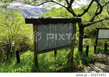 吉井町　城山公園　茶臼山城跡　竪堀　岡山県赤磐市 65075952