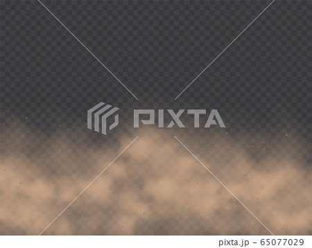 Dust cloud, road dirt, brown sandstorm explosion in desert concept. 65077029