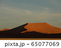 ナミビア　ナミブ砂漠　自然 65077069
