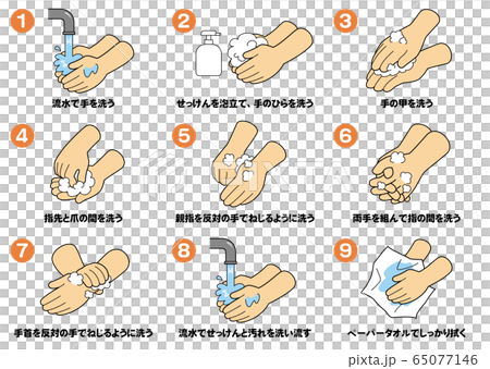 手洗いの手順一覧 65077146