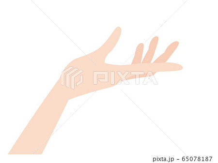 Palm Stock Illustration