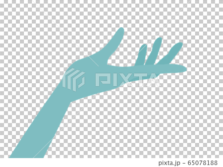 手のひら 65078188