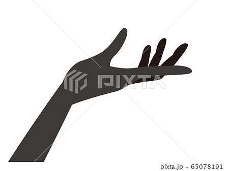 手のひら 65078191