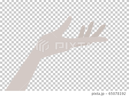 手のひら 65078192
