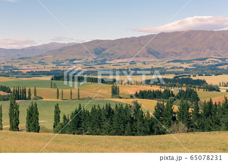 New Zealand mountain slope 65078231