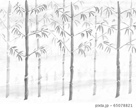 竹林のイラスト 墨の手描きイラスト のイラスト素材