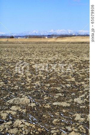 春を待つ農地・北海道 春を待つ農地・北海道 65079936