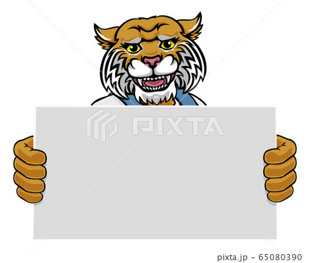 Wildcat Cartoon Mascot Handyman Holding Sign 65080390