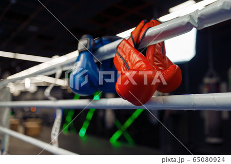 Red and blue boxing gloves on a ropes, nobody Red and blue boxing gloves on a ropes, nobody 65080924