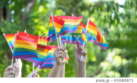 LGBT pride or Gay pride with rainbow flag for lesbian, gay, bisexual, and transgender people human rights social equality movements in June month 65080971