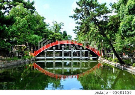 大阪住吉大社の反橋 65081159