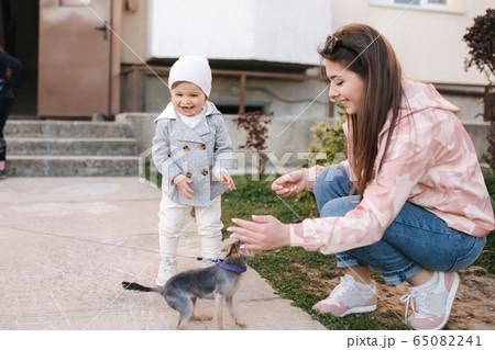 Cute little gilr with her mom play with little dor outside. Yorkshire terrer play and jump. Adorable gilr have fun with pet Cute little gilr with her mom play with little dor outside. Yorkshire terrer play and jump. Adorable gilr have fun with pet 65082241