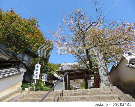 海龍寺山門 65082439