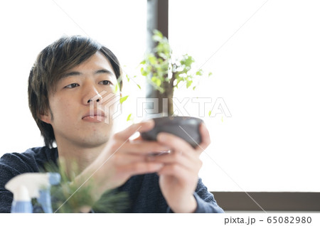 盆栽男子イメージ 盆栽男子イメージ 65082980