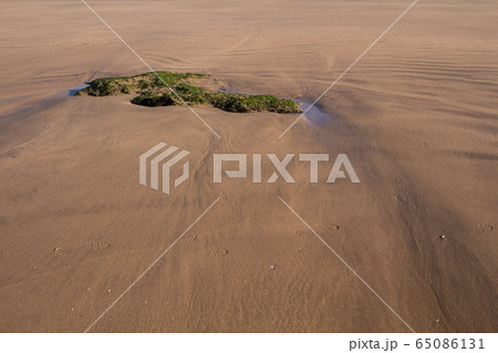 Rock on the wet sand of a beach, Morocco 65086131