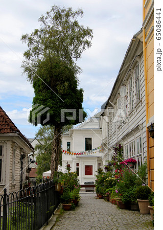 ノルウェー第2の都市ベルゲンの旧市街世界遺産のブリッゲンの倉庫街からフロイエン山登山道付近の住宅と木 65086441