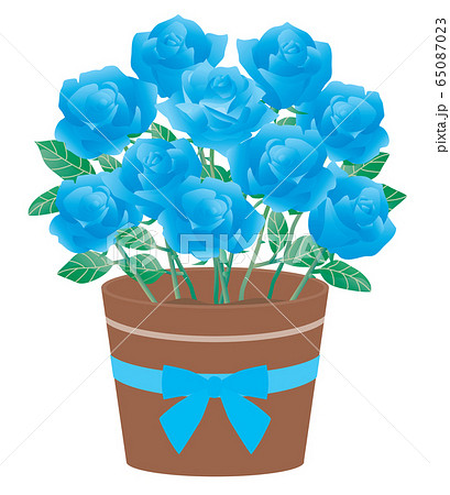 青いバラの鉢植えのイラストのイラスト素材