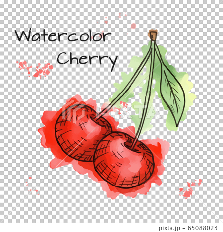 Vector Illustration Of Watercolor Cherries のイラスト素材 65088023 Pixta