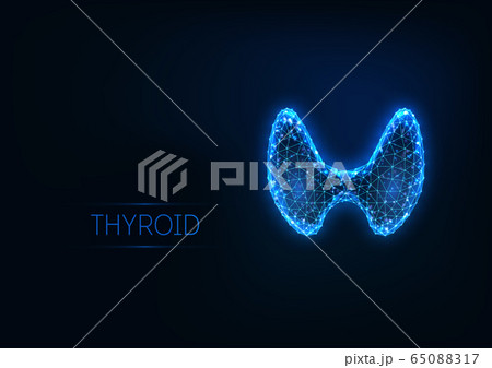 Futuristic glowing low polygonal human thyroid gland isolated on dark blue background. Futuristic glowing low polygonal human thyroid gland isolated on dark blue background. 65088317