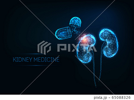 Futuristic kidneys medicine concept with glowing low polygonal human kidneys and capsule pills 65088326