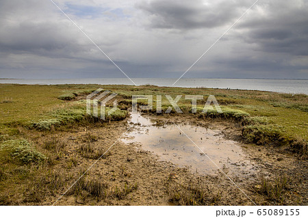 Salt marsh Ameland 65089155