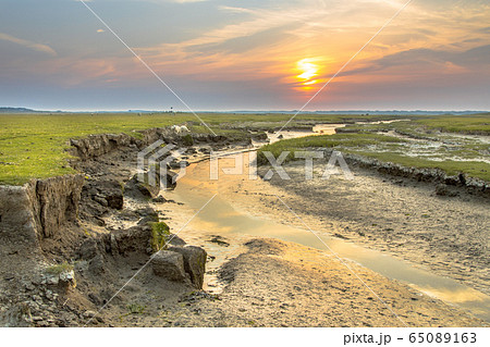 Tidal channel marshland Ameland Tidal channel marshland Ameland 65089163