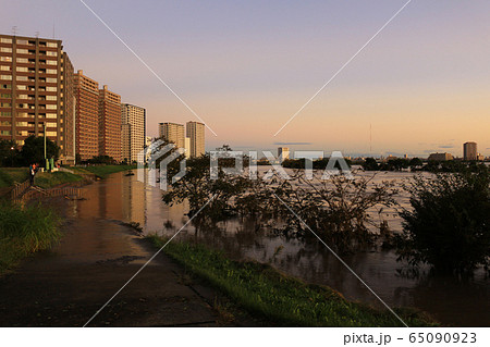 2019年10月13日大雨を伴った台風19号が過ぎ去った朝の多摩川下流域の風景 65090923
