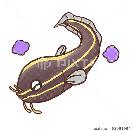 R:メルヘンな磯遊び ゴンズイA 65091994