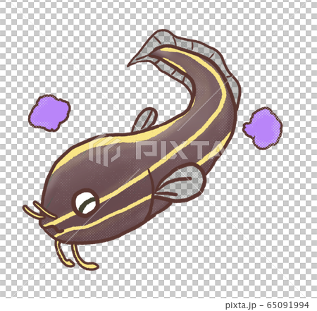 R:メルヘンな磯遊び ゴンズイA 65091994