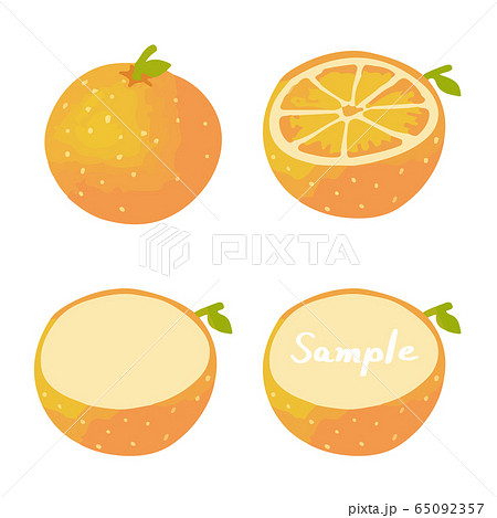 オレンジの手描きイラストセット 全体 断面 フレーム のイラスト素材