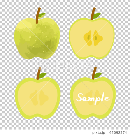 Hand drawn illustration set of green apples (whole, cross section, frame) 65092374