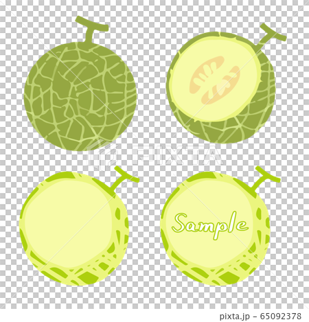 メロンの手描きイラストセット 全体 断面 フレーム のイラスト素材