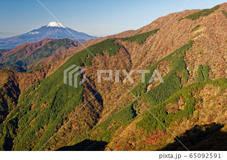 丹沢表尾根から見る富士山と大倉尾根 丹沢表尾根から見る富士山と大倉尾根 65092591