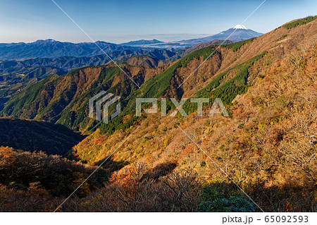 丹沢表尾根から見る富士山と大倉尾根 丹沢表尾根から見る富士山と大倉尾根 65092593