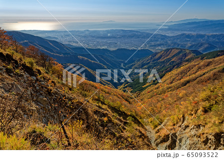 紅葉の丹沢表尾根から見る相模湾と秦野 小田原の町並みの写真素材