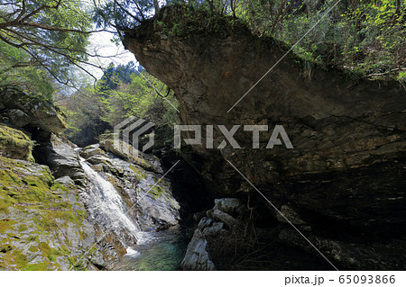 国領川の源流域、別子ラインのさらに上流、清流「西鈴尾谷川」 65093866