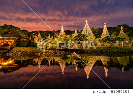 愛知県　名古屋市　白鳥庭園の雪吊り　夕景　紅葉のライトアップ 65094101