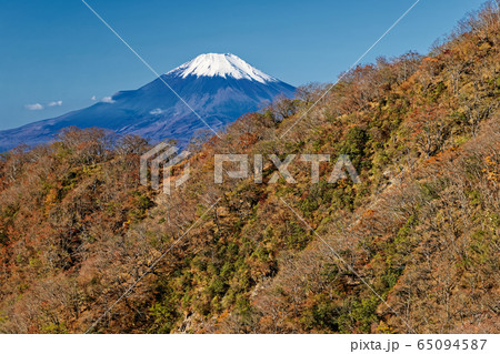 丹沢表尾根から大倉尾根越に見る富士山 65094587