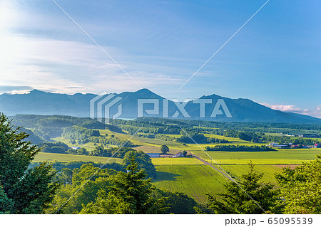 日の出公園展望台 (6月　晴れ　早朝) 65095539