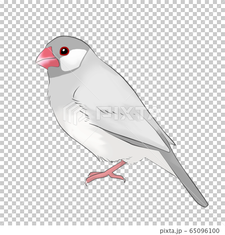 Sentencebird Sentencebird 65096100