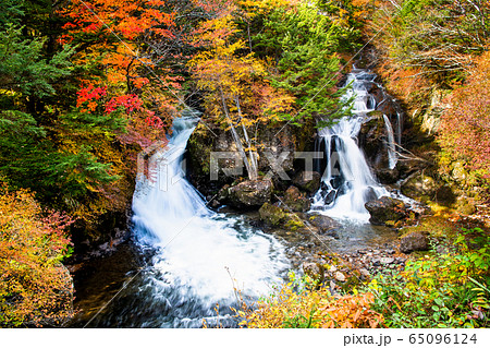 栃木県 紅葉に染まる竜頭ノ滝 観瀑台から 栃木県 紅葉に染まる竜頭ノ滝 観瀑台から 65096124