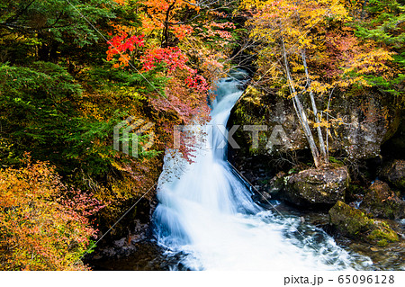栃木県 紅葉に染まる竜頭ノ滝 観瀑台から 栃木県 紅葉に染まる竜頭ノ滝 観瀑台から 65096128