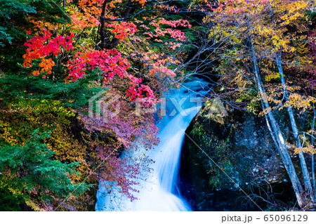 栃木県 紅葉に染まる竜頭ノ滝　観瀑台から 65096129