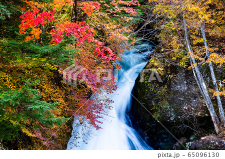 栃木県 紅葉に染まる竜頭ノ滝　観瀑台から 65096130