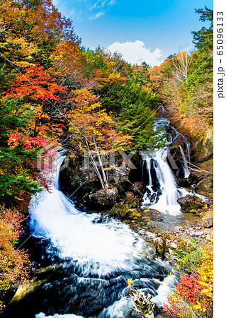 栃木県 紅葉に染まる竜頭ノ滝 観瀑台から 栃木県 紅葉に染まる竜頭ノ滝 観瀑台から 65096133