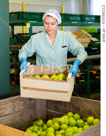 girl carrying box with packed apples to storage girl carrying box with packed apples to storage 65098312